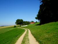  Blick auf die Wanderstrecke am Guttenbrunner Berg 