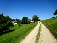 Blick auf die Wanderstrecke bei der Gehftgruppe Guttenbrunn