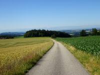  Blick auf die Wanderstrecke 