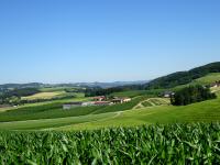 Fernblick zum Netzberg mit den Hopfenfeldern der Brauerei Eder