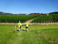 Wanderroute zu den Hopfenfeldern der Brauerei Eder