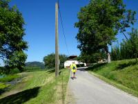 Wanderroute am Netzberg entlang der Hopfenfeldern 