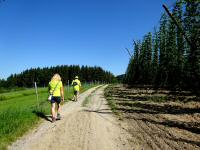 Wanderroute am Netzberg entlang der Hopfenfeldern 