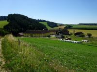  der Blick zurck zum Weiler Neustadt 