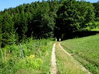  Blick auf die Wanderstrecke 