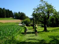  Blick auf die Wanderstrecke 