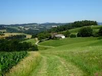  Blick auf die Wanderstrecke zur Gehftgruppe Lungitz 