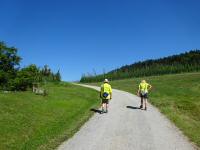 Blick auf die Wanderstrecke in der Nhe der Gehftgruppe Lungitz 