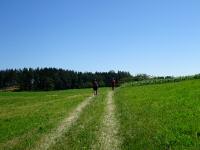  Blick auf die Wanderstrecke 