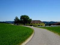  Blick auf die Wanderstrecke zum Schferhof Nr. 9 