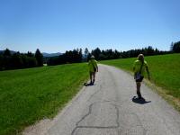  Blick auf die Wanderstrecke nach Gutau 