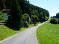  Blick auf die Wanderstrecke nach Gutau 