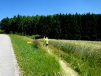  Blick auf die Wanderstrecke 