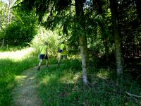  Blick auf die Wanderstrecke 