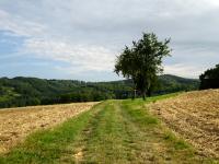  Blick auf die Wanderstrecke entlang des Rehbergs 