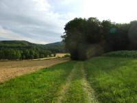  Blick auf die Wanderstrecke entlang des Rehbergs 