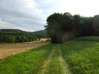  Blick auf die Wanderstrecke entlang des Rehbergs 