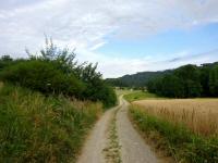  Blick auf die Wanderstrecke nach Groweichselbach 