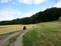  Blick auf die Wanderstrecke 