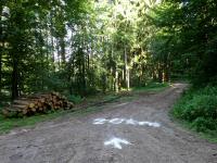 Blickauf die 20 km Wanderstrecke bei der Streckenteilung