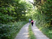  Blick auf die Wanderstrecke 