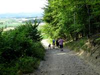  Blick auf die Wanderstrecke zum Weiler Vornholz 