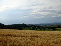  schner Fernblick nach St. Leonhard am Forst 