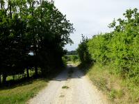  Blick auf die Wanderstrecke 