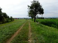  Blick auf die Wanderstrecke entlang der Melk 