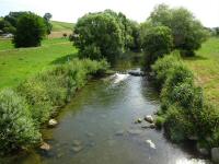  Blick auf die Melk flussaufwrts 