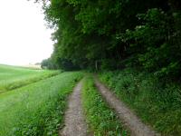  Blick auf die Wanderstrecke 