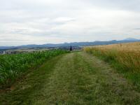  Blick auf die Wanderstrecke 