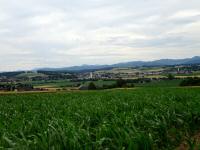  schner Fernblick nach St. Leonhard am Forst 