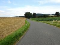 Blick auf die Wanderstrecke nach Schnbuch - Reith/Vornholz