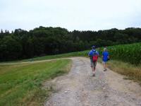  Blick auf die Wanderstrecke 