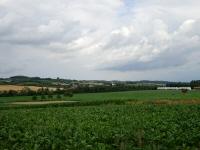  Fernblick nach Growetzdorf 