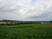  Fernblick nach Growetzdorf 