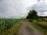  Blick auf die Wanderstrecke 