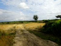  Blick auf die Wanderstrecke 