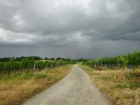  Blick auf die Wanderstrecke durch die Riede "Langen" 