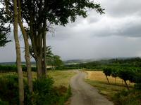  Blick auf die Wanderstrecke 