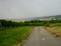  Blick auf die Wanderstrecke  - in der Ferne Regen 