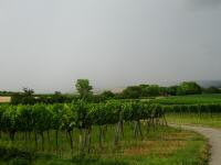  die Regenfront kommt nher 