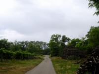  Wanderroute auf den Jungberg 