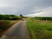  Blick auf die Wanderstrecke 