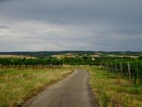  Blick auf die Wanderstrecke 