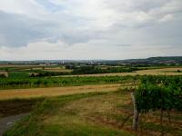  Fernblick nach Ziersdorf 