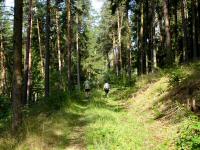  Blick auf die Wanderstrecke 