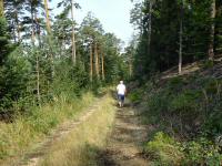  Blick auf die Wanderstrecke 