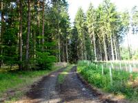  Blick auf die Wanderstrecke 